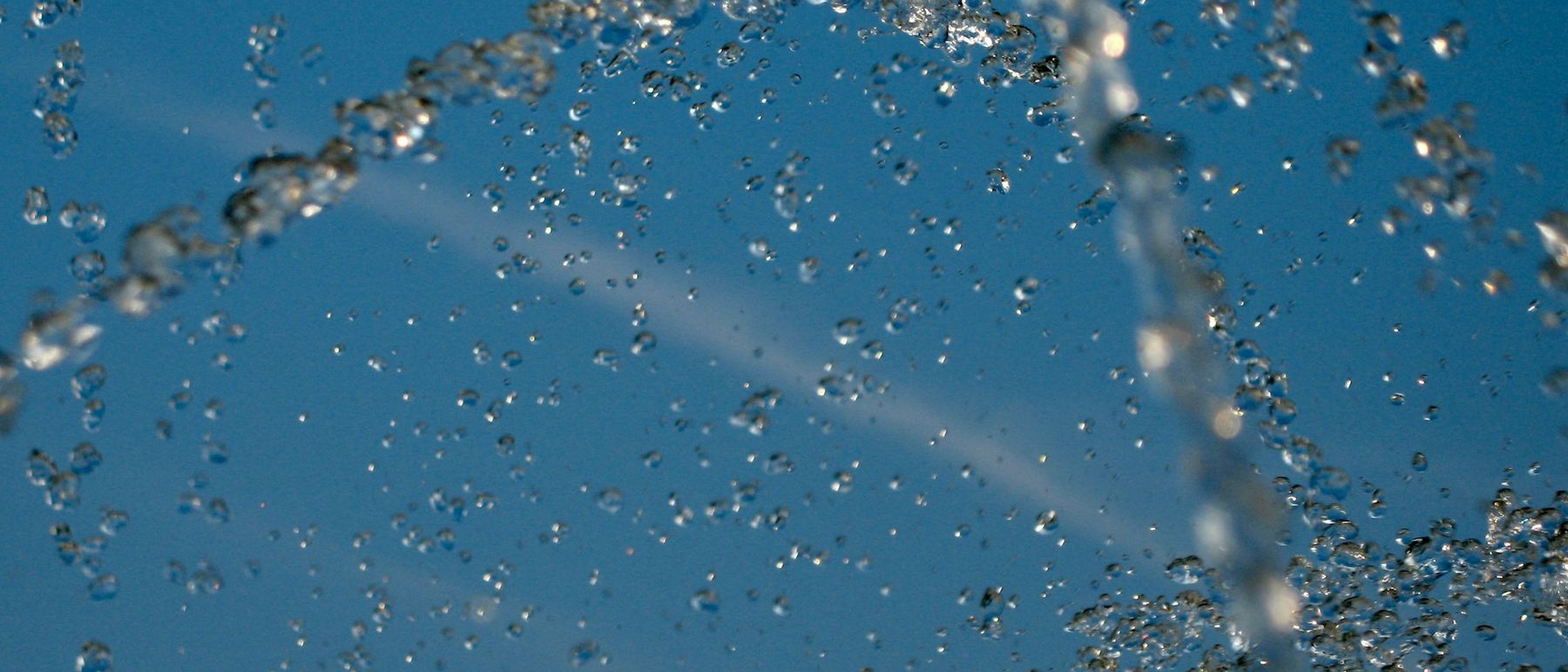 Water droplets catching the light